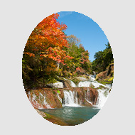 八ヶ岳周辺の自然