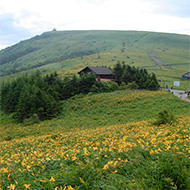 霧ヶ峰高原
