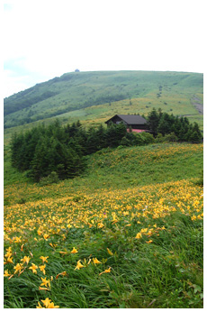 霧が峰高原