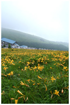 霧が峰高原