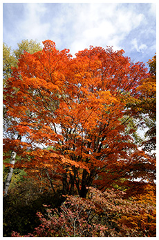 横谷観音展望台